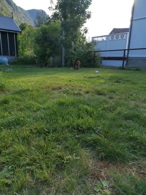 Dalen - Full House With Two Bedrooms, Patio, Garden And Central Location Exteriör bild